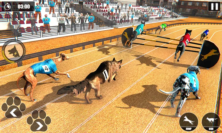 Tuyệt Chiêu Đặt Cược Game Nhanh Đua Chó Tại RikVip Luôn Dành Chiến Thắng
